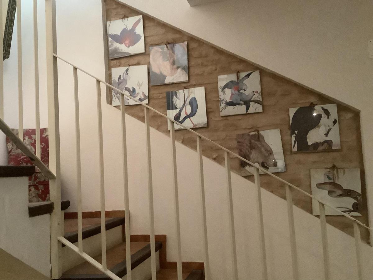Hostal Casa Del Buen Viaje Sevilla Eksteriør billede